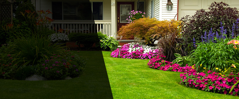 North East Landscapers